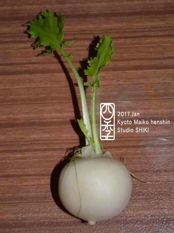 12　菘のコピー
